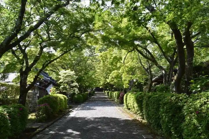 西教寺のその他建物