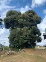 六所大神(千葉県)