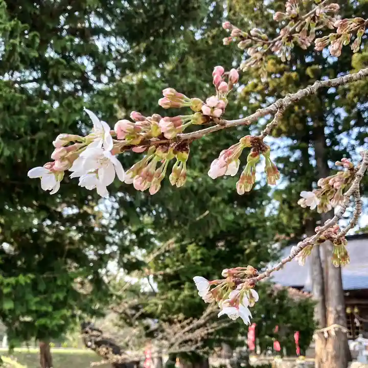 高司神社〜むすびの神の鎮まる社〜(福島県)
