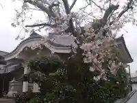 常泉寺(静岡県)