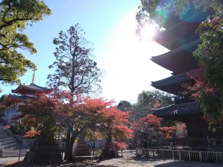 八事山 興正寺(愛知県)