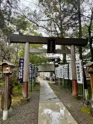 白金龍王社(愛知県)