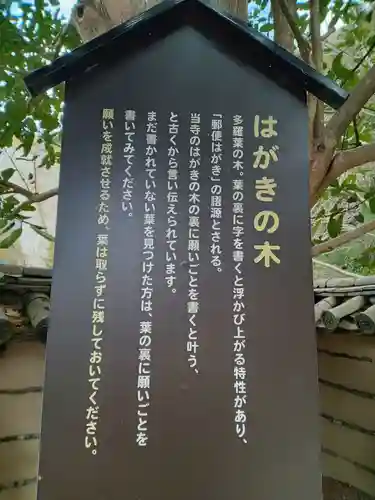 法起院(奈良県)