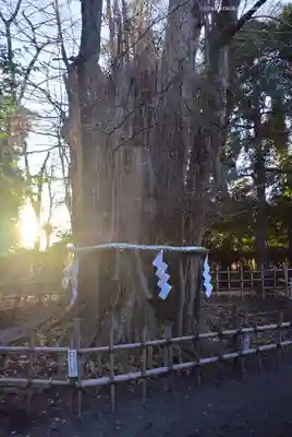 大國魂神社(東京都)