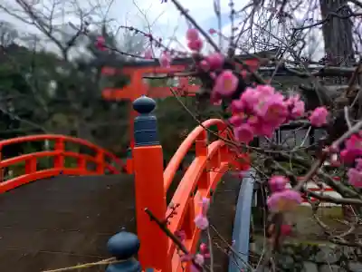 賀茂御祖神社（下鴨神社）(京都府)