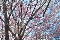 潮見ヶ岡神社(北海道)