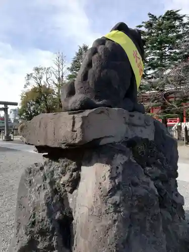 浅草神社の狛犬