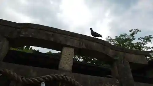 嚴島神社 (京都御苑)(京都府)