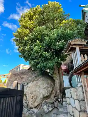 和布刈神社(福岡県)