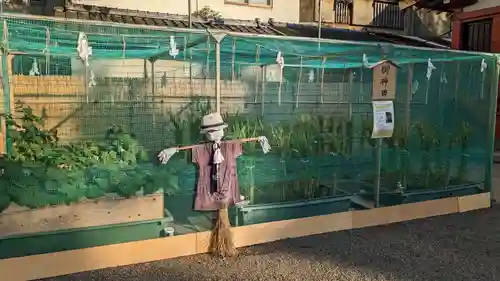 浅草神社の庭園