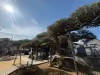 妙昌寺の{uncategorized: "未分類", other: "その他", undefined: "問題あり", building: "その他建物", grave: "お墓", sacred_gate: "鳥居", guardian: "狛犬", statue: "像", buddha: "仏像", history: "歴史", nature: "自然", garden: "庭園", animal: "動物", pagoda: "塔", temizu: "手水舎", mountain_gate: "山門・神門", sanctuary: "本殿・本堂", subordinate: "末社・摂社", art: "芸術", scenery: "景色", jizo: "地蔵", ema: "絵馬", goshuin: "御朱印", omikuji: "おみくじ", items: "授与品その他", amulet: "お守り", goshuincho: "御朱印帳", eats: "食事", festival: "お祭り", votive_dance: "神楽", shichigosan: "七五三参", wedding: "結婚式", experience: "体験その他", initially: "初詣", around: "周辺", anti_infection: "感染症対策"}