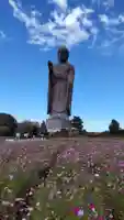 東本願寺本廟 牛久浄苑(牛久大仏)の仏像