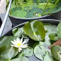 勧持院のその他建物