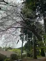 坪沼八幡神社の自然