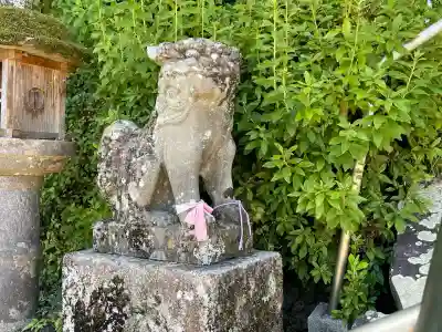 須佐之男神社(奈良県)