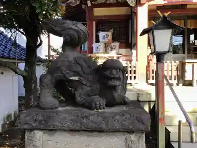 千住本氷川神社の狛犬