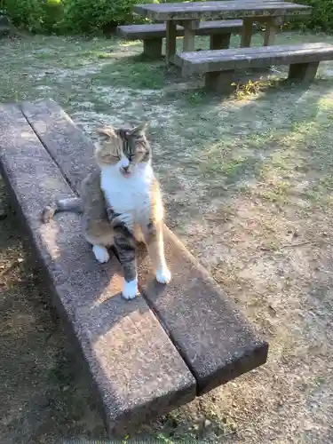 玉野御嶽神社の動物