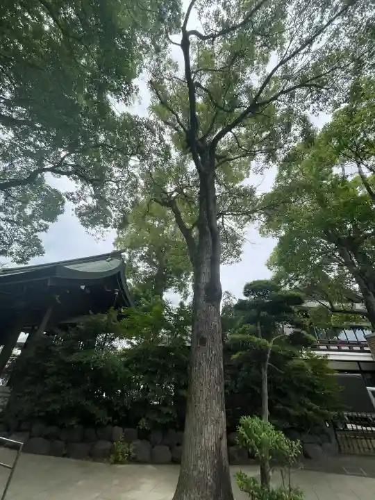 寒川神社の{uncategorized: "未分類", other: "その他", undefined: "問題あり", building: "その他建物", grave: "お墓", sacred_gate: "鳥居", guardian: "狛犬", statue: "像", buddha: "仏像", history: "歴史", nature: "自然", garden: "庭園", animal: "動物", pagoda: "塔", temizu: "手水舎", mountain_gate: "山門・神門", sanctuary: "本殿・本堂", subordinate: "末社・摂社", art: "芸術", scenery: "景色", jizo: "地蔵", ema: "絵馬", goshuin: "御朱印", omikuji: "おみくじ", items: "授与品その他", amulet: "お守り", goshuincho: "御朱印帳", eats: "食事", festival: "お祭り", votive_dance: "神楽", shichigosan: "七五三参", wedding: "結婚式", experience: "体験その他", initially: "初詣", around: "周辺", anti_infection: "感染症対策"}