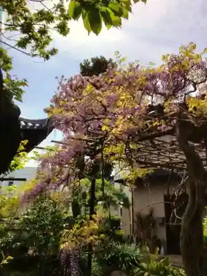 圓照寺(東京都)