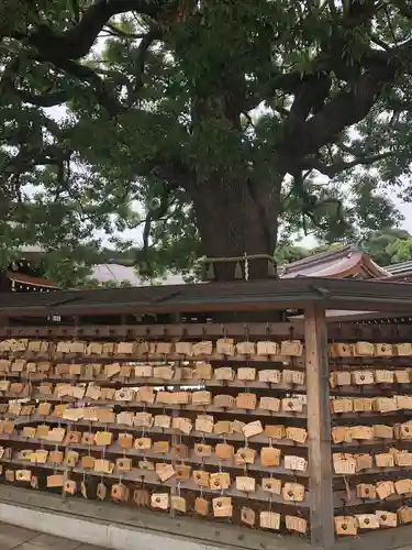 明治神宮(東京都)