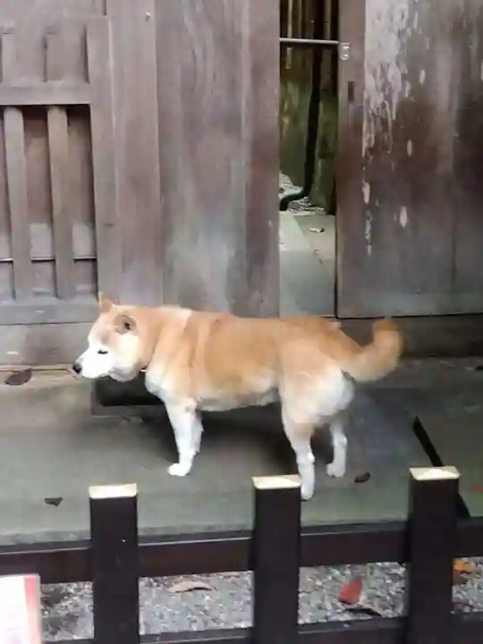 能満院(奈良県)