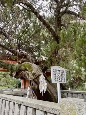 高砂神社(兵庫県)