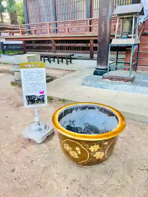 医王寺(福島県)