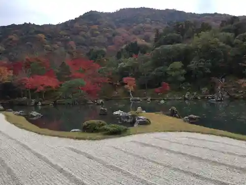 天龍寺の庭園