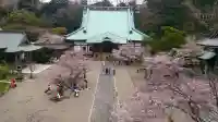 光明寺の{uncategorized: "未分類", other: "その他", undefined: "問題あり", building: "その他建物", grave: "お墓", sacred_gate: "鳥居", guardian: "狛犬", statue: "像", buddha: "仏像", history: "歴史", nature: "自然", garden: "庭園", animal: "動物", pagoda: "塔", temizu: "手水舎", mountain_gate: "山門・神門", sanctuary: "本殿・本堂", subordinate: "末社・摂社", art: "芸術", scenery: "景色", jizo: "地蔵", ema: "絵馬", goshuin: "御朱印", omikuji: "おみくじ", items: "授与品その他", amulet: "お守り", goshuincho: "御朱印帳", eats: "食事", festival: "お祭り", votive_dance: "神楽", shichigosan: "七五三参", wedding: "結婚式", experience: "体験その他", initially: "初詣", around: "周辺", anti_infection: "感染症対策"}
