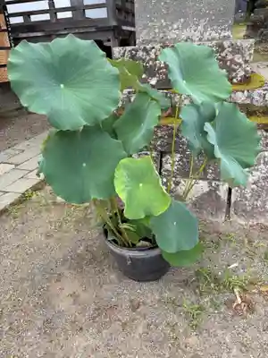 北向観音(長野県)