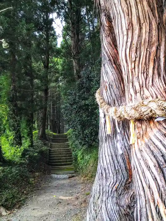 山神社(宮城県)