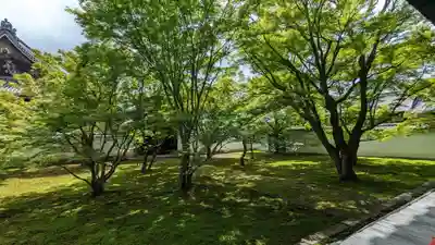 妙覺寺（妙覚寺）(京都府)