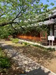 野中寺の建物その他