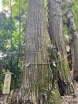熊野神社(宮城県)