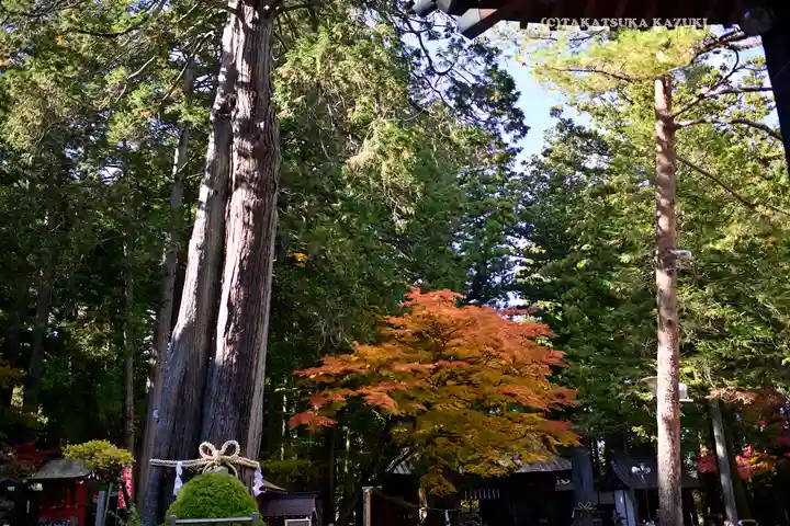 北口本宮冨士浅間神社(山梨県)