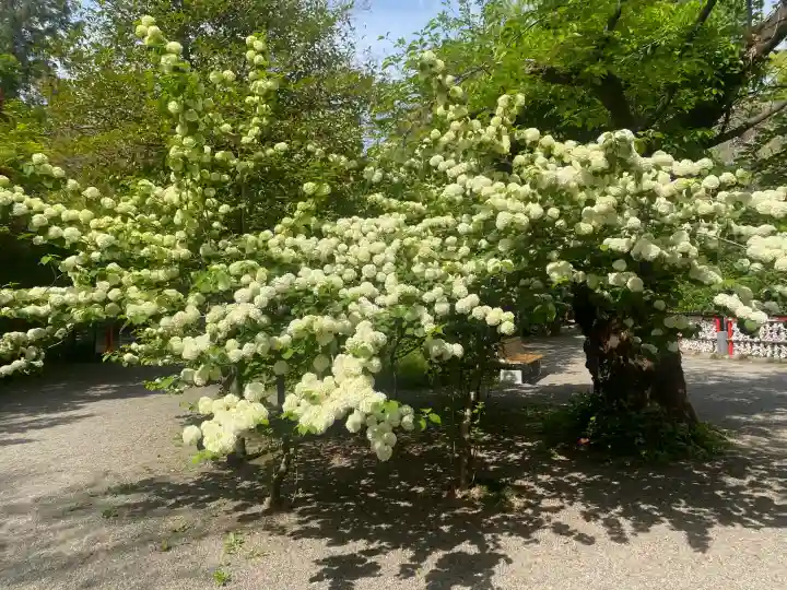 冠稲荷神社の{uncategorized: "未分類", other: "その他", undefined: "問題あり", building: "その他建物", grave: "お墓", sacred_gate: "鳥居", guardian: "狛犬", statue: "像", buddha: "仏像", history: "歴史", nature: "自然", garden: "庭園", animal: "動物", pagoda: "塔", temizu: "手水舎", mountain_gate: "山門・神門", sanctuary: "本殿・本堂", subordinate: "末社・摂社", art: "芸術", scenery: "景色", jizo: "地蔵", ema: "絵馬", goshuin: "御朱印", omikuji: "おみくじ", items: "授与品その他", amulet: "お守り", goshuincho: "御朱印帳", eats: "食事", festival: "お祭り", votive_dance: "神楽", shichigosan: "七五三参", wedding: "結婚式", experience: "体験その他", initially: "初詣", around: "周辺", anti_infection: "感染症対策"}