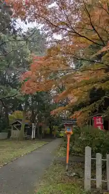 若山神社(大阪府)