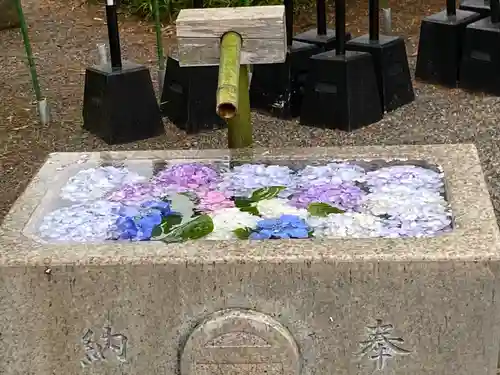 鶴岡八幡宮の手水舎