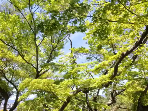 知恩院の{uncategorized: "未分類", other: "その他", undefined: "問題あり", building: "その他建物", grave: "お墓", sacred_gate: "鳥居", guardian: "狛犬", statue: "像", buddha: "仏像", history: "歴史", nature: "自然", garden: "庭園", animal: "動物", pagoda: "塔", temizu: "手水舎", mountain_gate: "山門・神門", sanctuary: "本殿・本堂", subordinate: "末社・摂社", art: "芸術", scenery: "景色", jizo: "地蔵", ema: "絵馬", goshuin: "御朱印", omikuji: "おみくじ", items: "授与品その他", amulet: "お守り", goshuincho: "御朱印帳", eats: "食事", festival: "お祭り", votive_dance: "神楽", shichigosan: "七五三参", wedding: "結婚式", experience: "体験その他", initially: "初詣", around: "周辺", anti_infection: "感染症対策"}