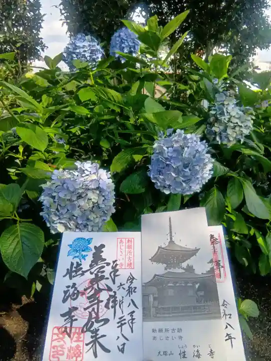 性海寺(愛知県)