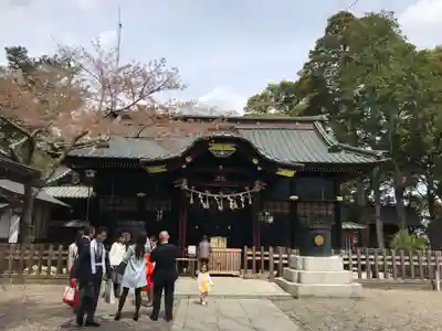 玉前神社の本殿・本堂