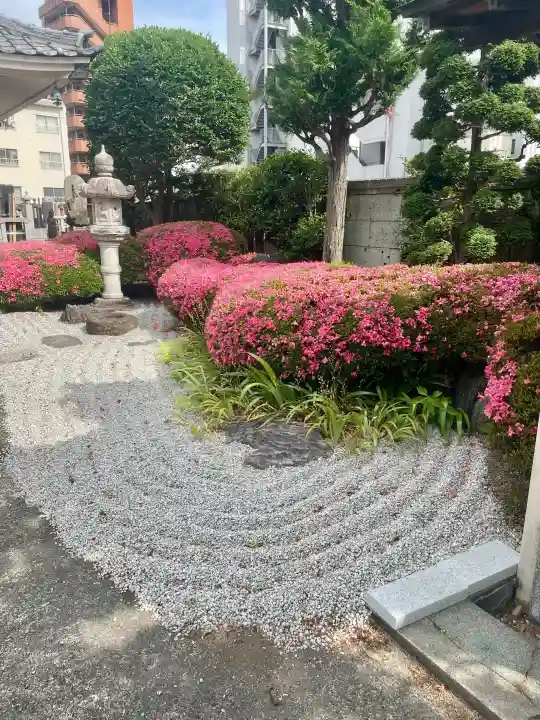 善願寺(栃木県)