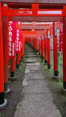 佐助稲荷神社の鳥居