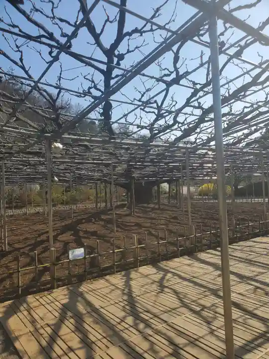 寺岡山元三大師の自然