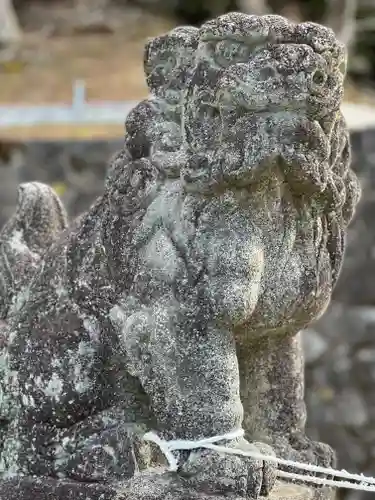 大豊神社の狛犬