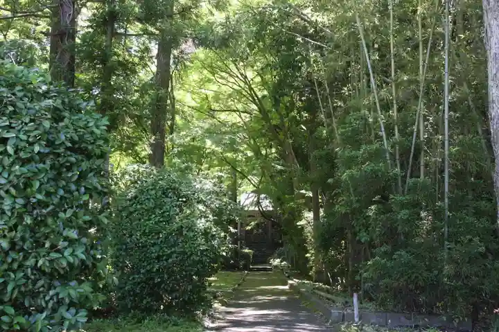 龍潭寺(滋賀県)