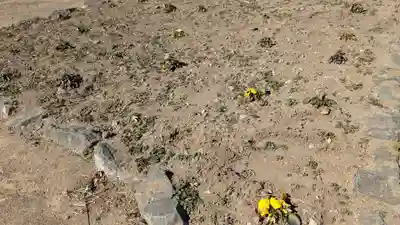 白山神社の庭園