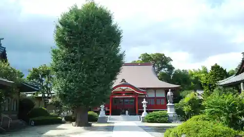 本成寺の本殿・本堂