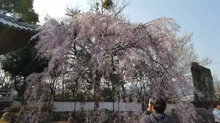 道成寺のその他建物