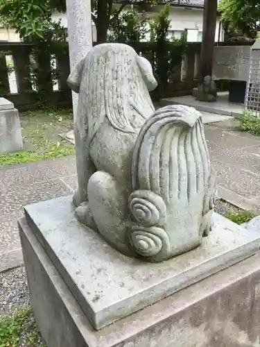 阿豆佐味天神社 立川水天宮の狛犬